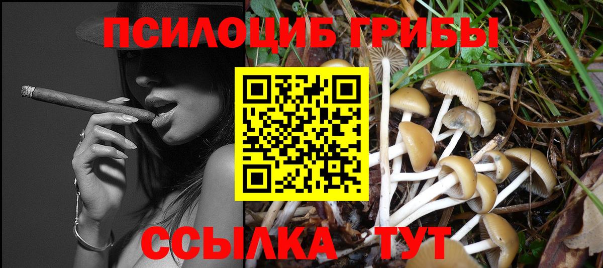 Псилоцибиновые грибы Cubensis  Вход с VPN  Тайшет 